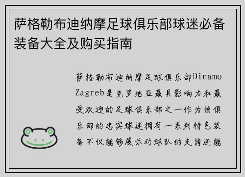 萨格勒布迪纳摩足球俱乐部球迷必备装备大全及购买指南