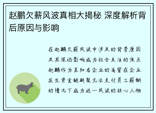 赵鹏欠薪风波真相大揭秘 深度解析背后原因与影响